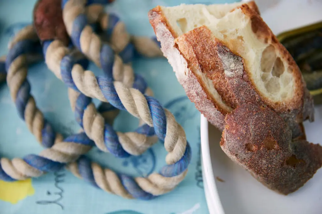 bread sliced leash