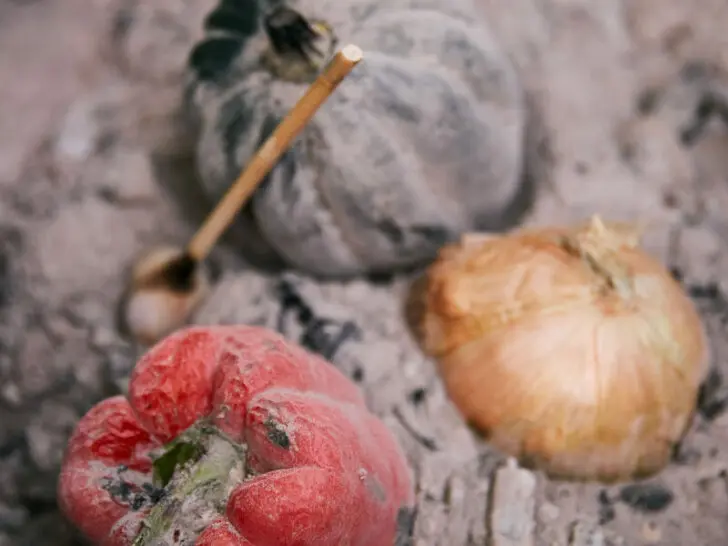 EMBER ROASTED VEGETABLES (CAVEMAN VEGGIES)