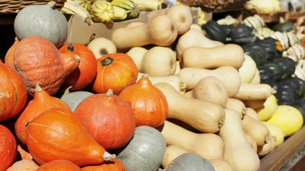squash display
