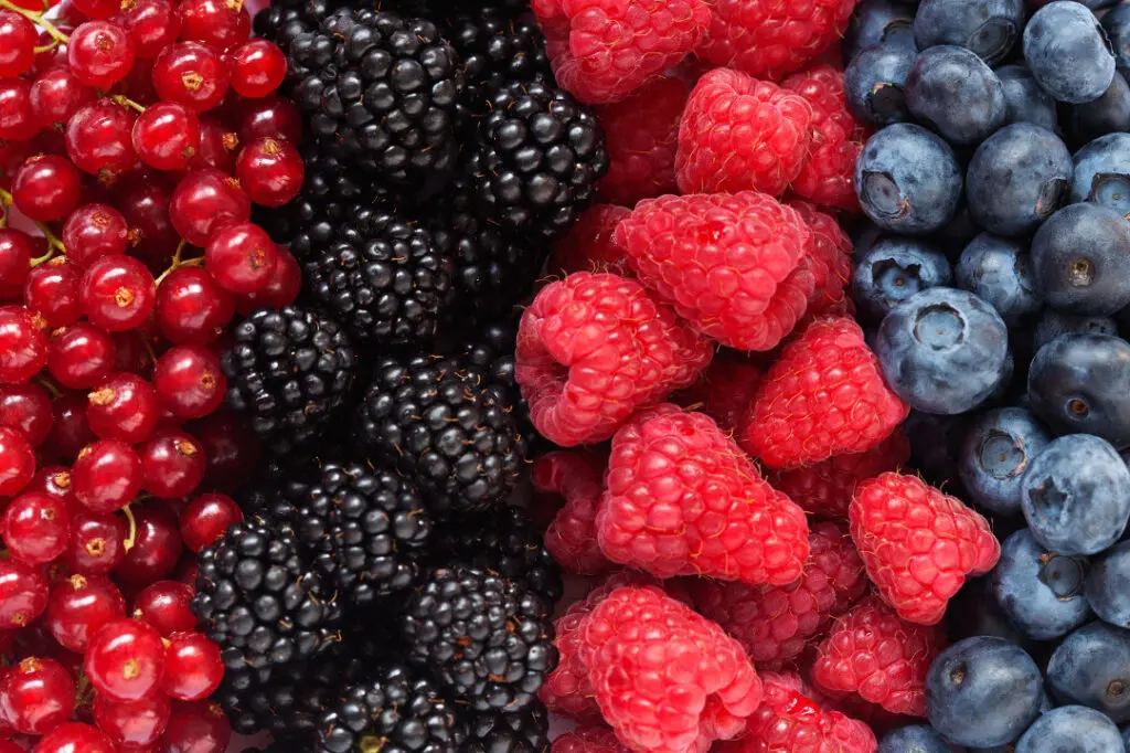 berries